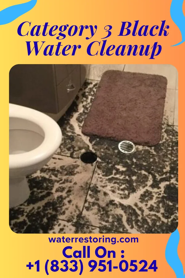 Category 3 Black Water Cleanup in Brittany Farms-The Highlands, PA