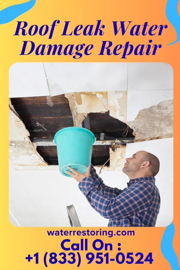 Roof Leak Water Damage Repair in Brittany Farms-The Highlands, PA