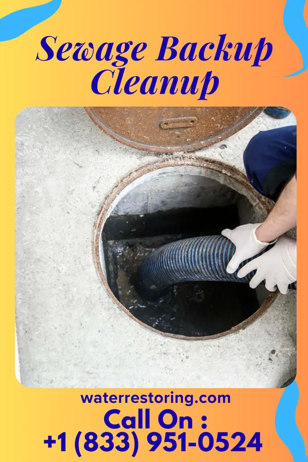 Sewage Backup Cleanup in Brittany Farms-The Highlands, PA