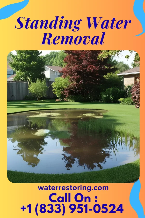 Standing Water Removal in Brittany Farms-The Highlands, PA